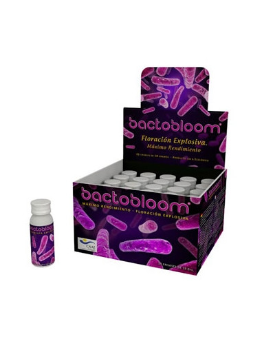 Bactobloom | Agrobactérias